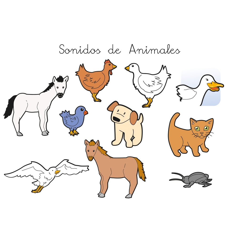 El barco de las palabras