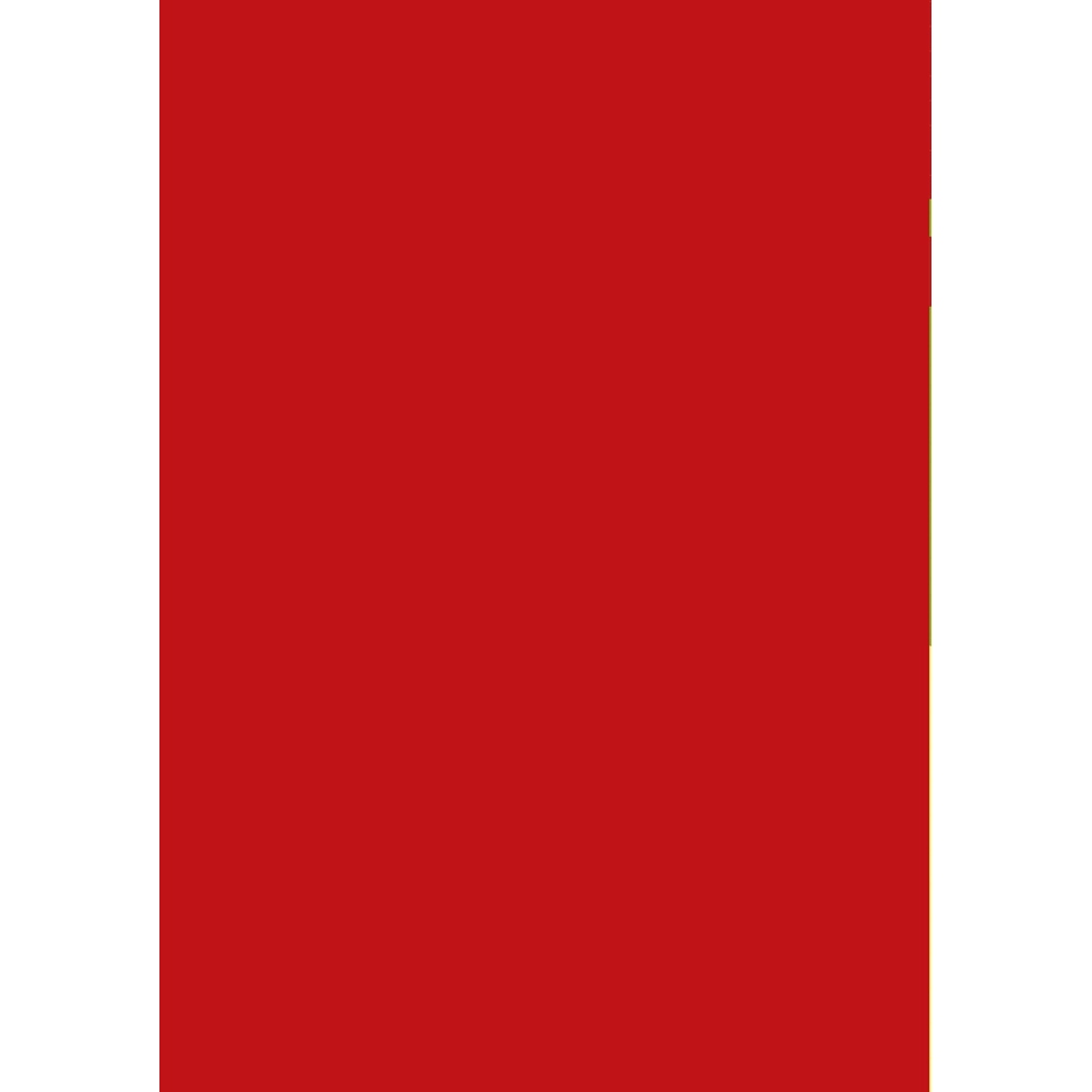 Caligrafía 21 · Cuadrícula