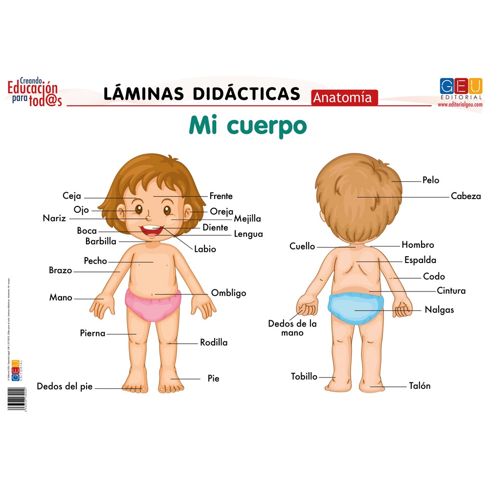 Láminas didácticas. Anatomía: Mi cuerpo