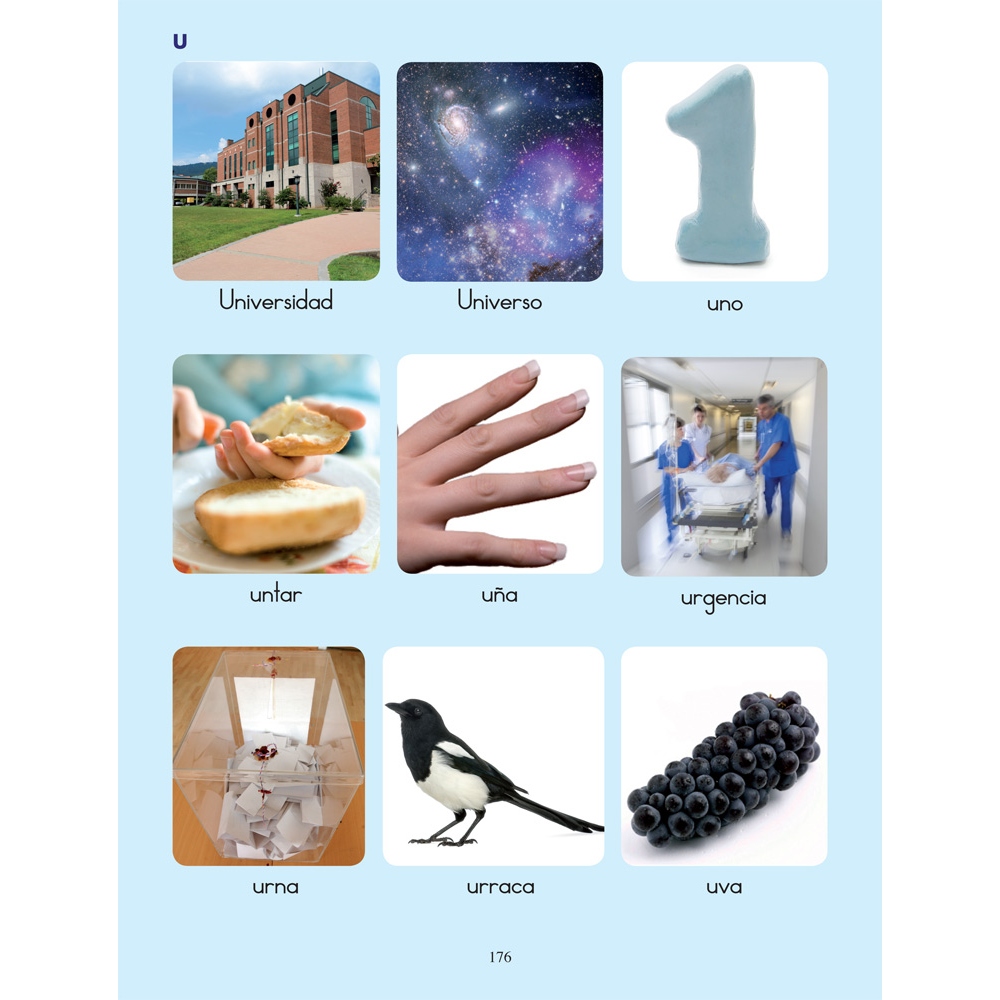 Diccionario de imágenes reales