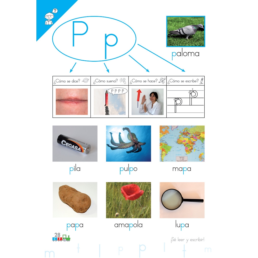 Cono-fonos 3: ¡Sé leer y escribir! Cuaderno 2: Consonantes m, l, p, t