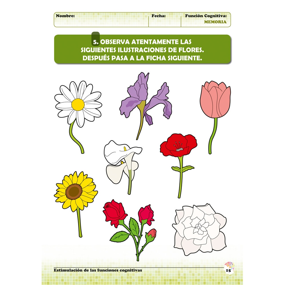 Estimulación de las funciones cognitivas. Nivel 1. Cuaderno 5: Memoria