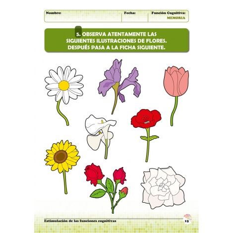 Estimulación de las funciones cognitivas. Nivel 1. Cuaderno 5: Memoria