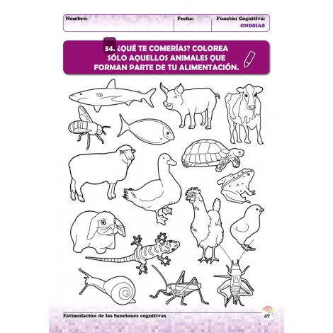 Estimulación de las funciones cognitivas. Nivel 2. Cuaderno 3: Gnosias