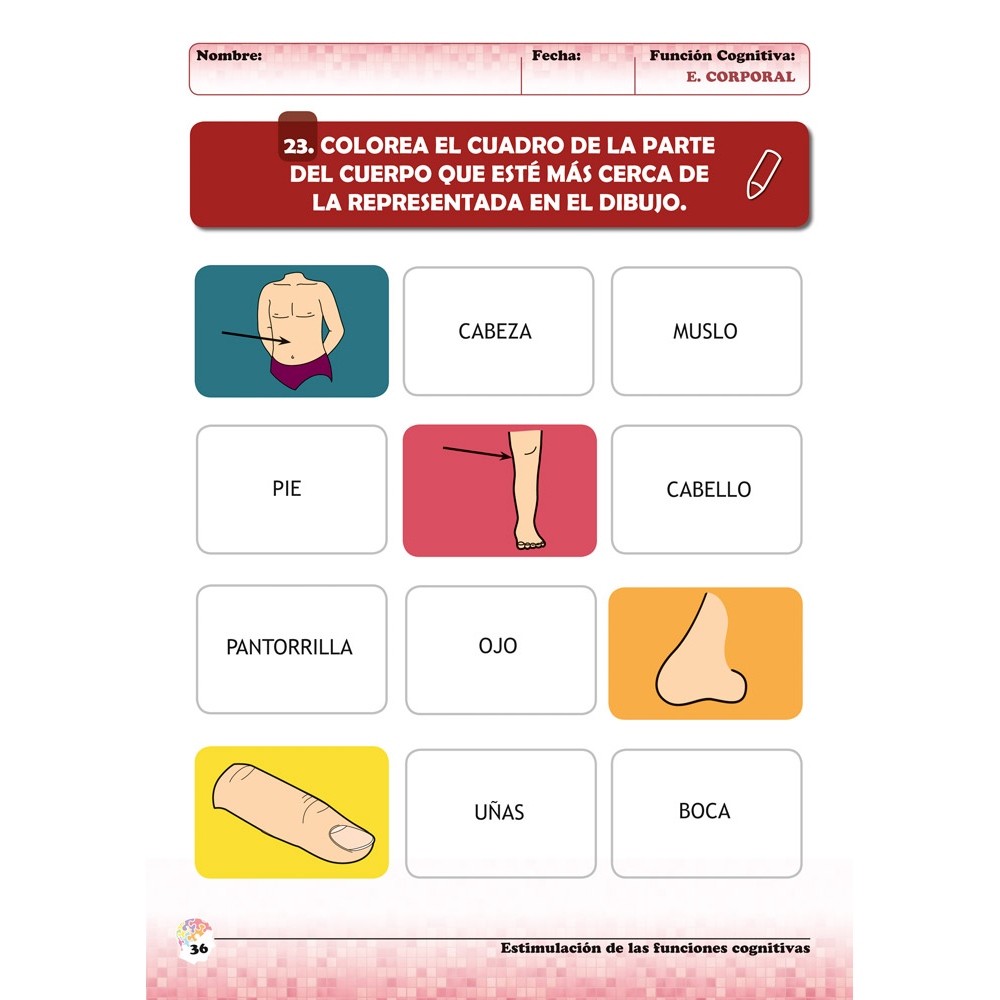 Estimulación de las funciones cognitivas. Nivel 2. Cuaderno 6: Esquema corporal