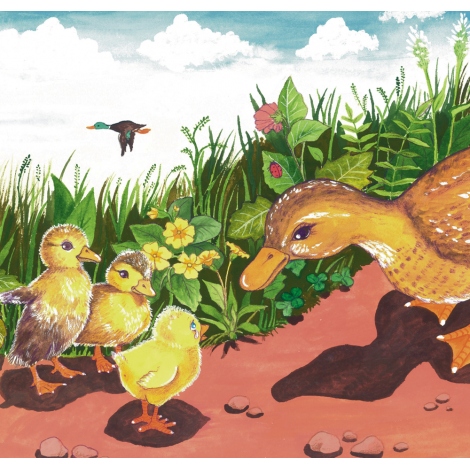 Pollito llorón Pollito llorón