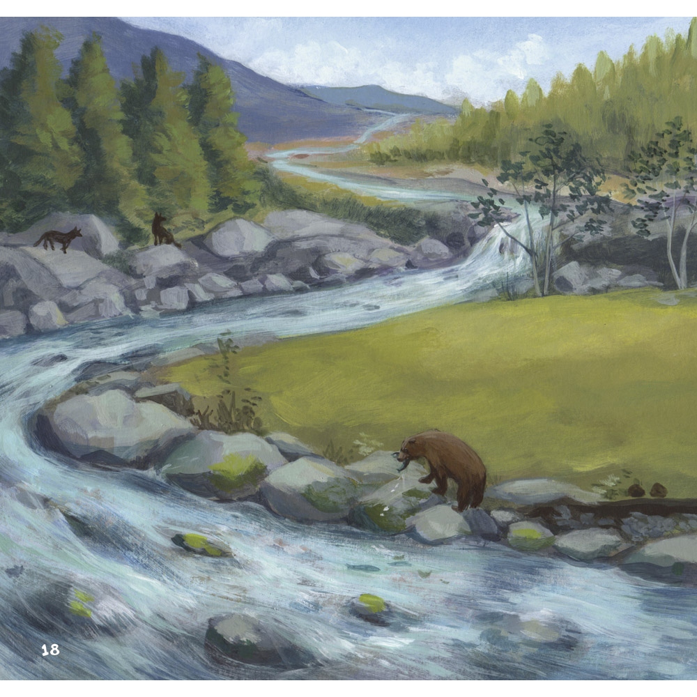 El sendero de los ríos