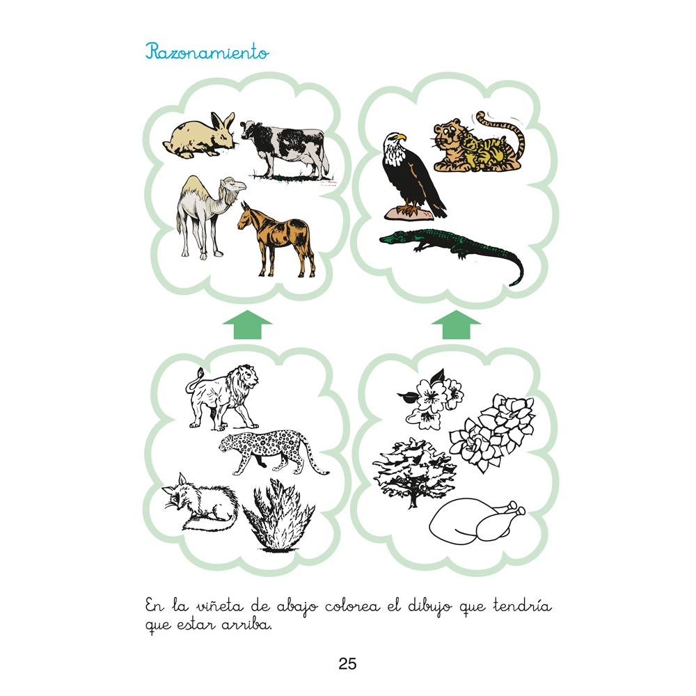 Matemáticas fáciles 11