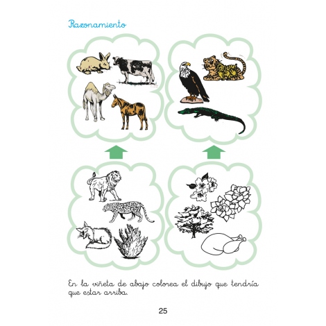 Matemáticas fáciles 11