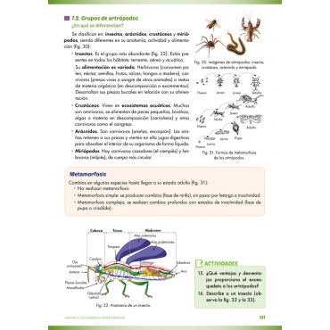 Ciencias de la naturaleza: Biología y geología 1. Educación Secundaria. ACI no significativa 2