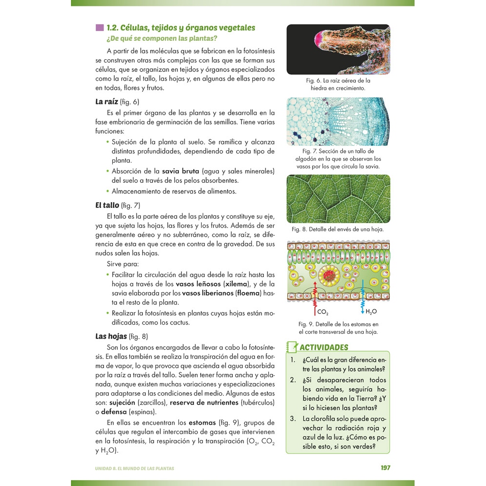 Ciencias de la naturaleza: Biología y geología 1. Educación Secundaria. Libro de aula Ciencias de la naturaleza: Biología y geología 1. Educación Secundaria. Libro de aula