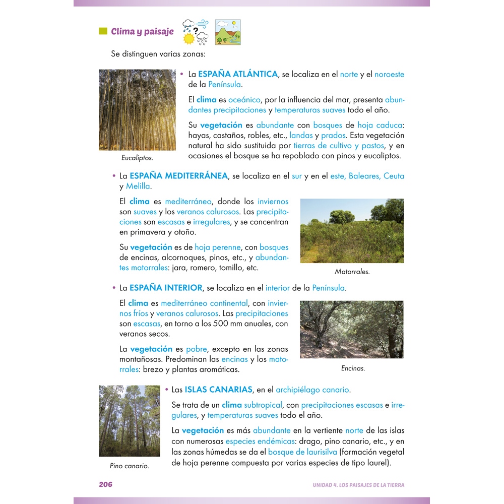 Ciencias sociales: Geografía e historia 1. Educación Secundaria. ACI significativa