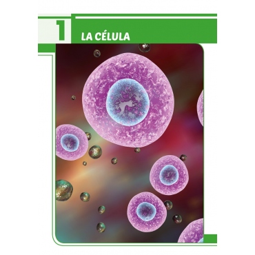 Ciencias de la Naturaleza 6. Adaptación curricular con apoyos visuales 2