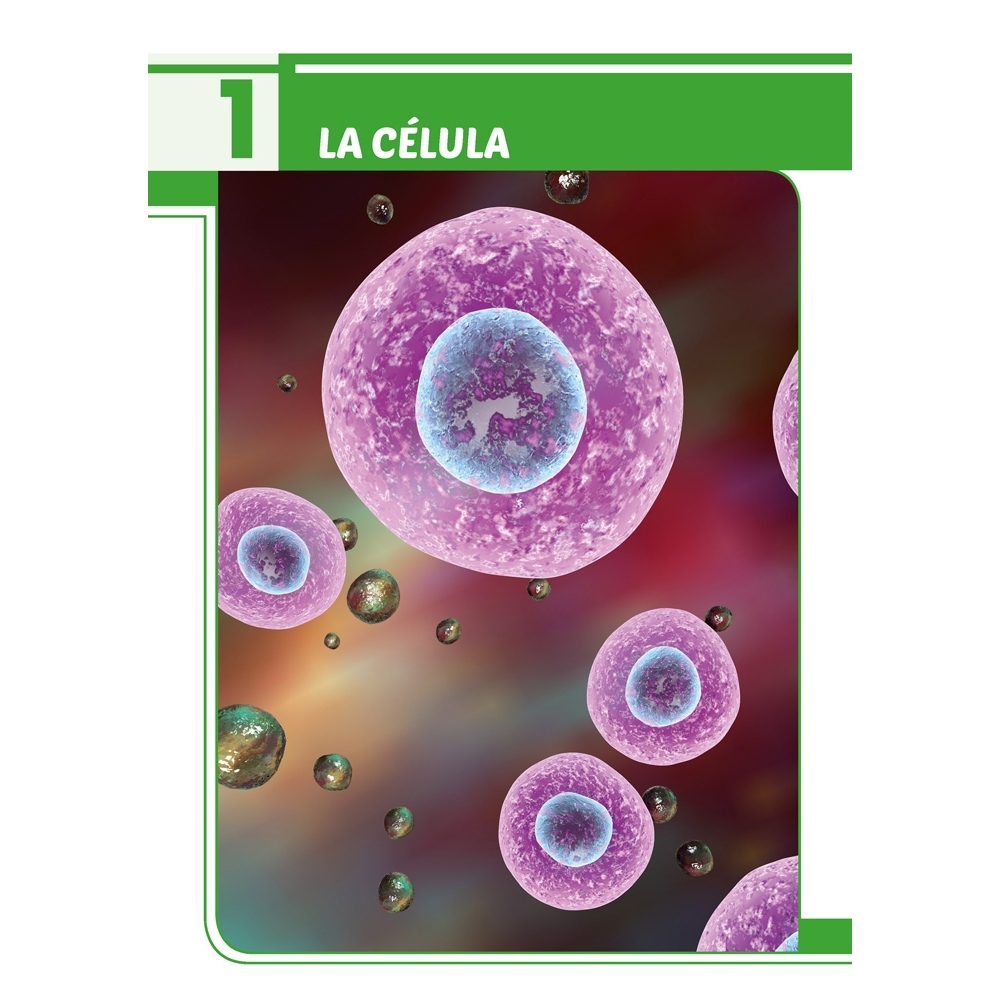 Ciencias de la Naturaleza 6. Adaptación curricular con apoyos visuales