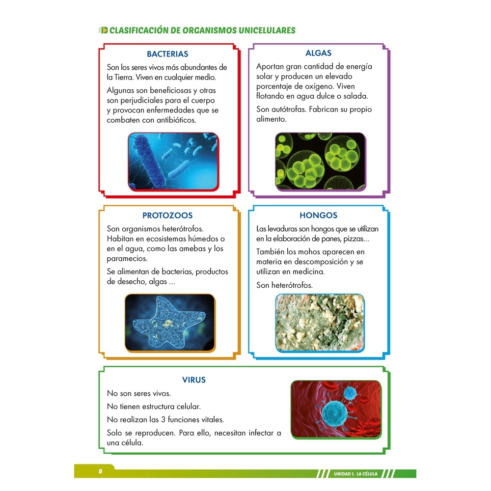 Ciencias de la Naturaleza 6. Adaptación curricular con apoyos visuales