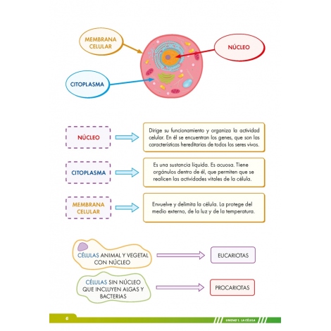 Ciencias de la Naturaleza 6. Adaptación curricular con apoyos visuales
