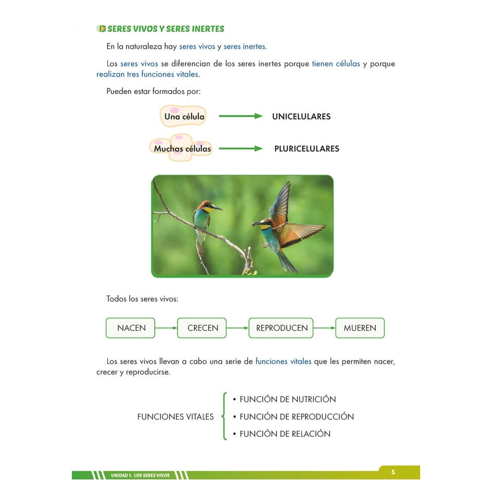 Ciencias de la naturaleza 5. Adaptación curricular con apoyos visuales