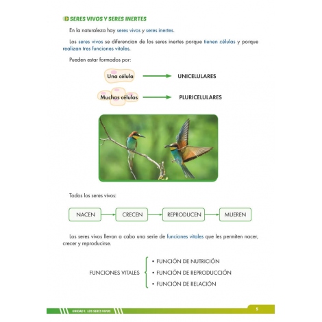 Ciencias de la naturaleza 5. Adaptación curricular con apoyos visuales