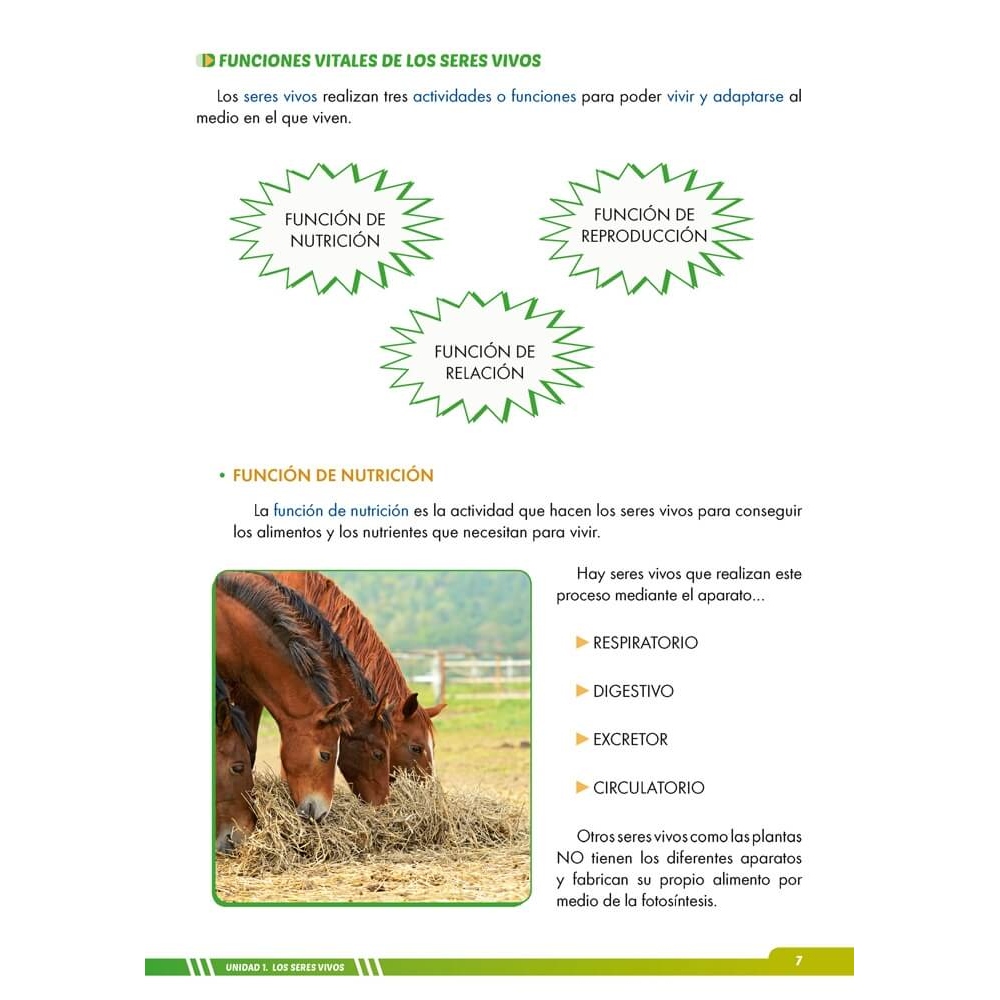 Ciencias de la naturaleza 5. Adaptación curricular con apoyos visuales