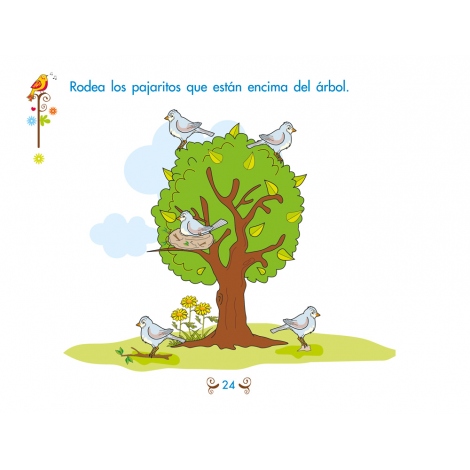 Pack conceptos básicos 2