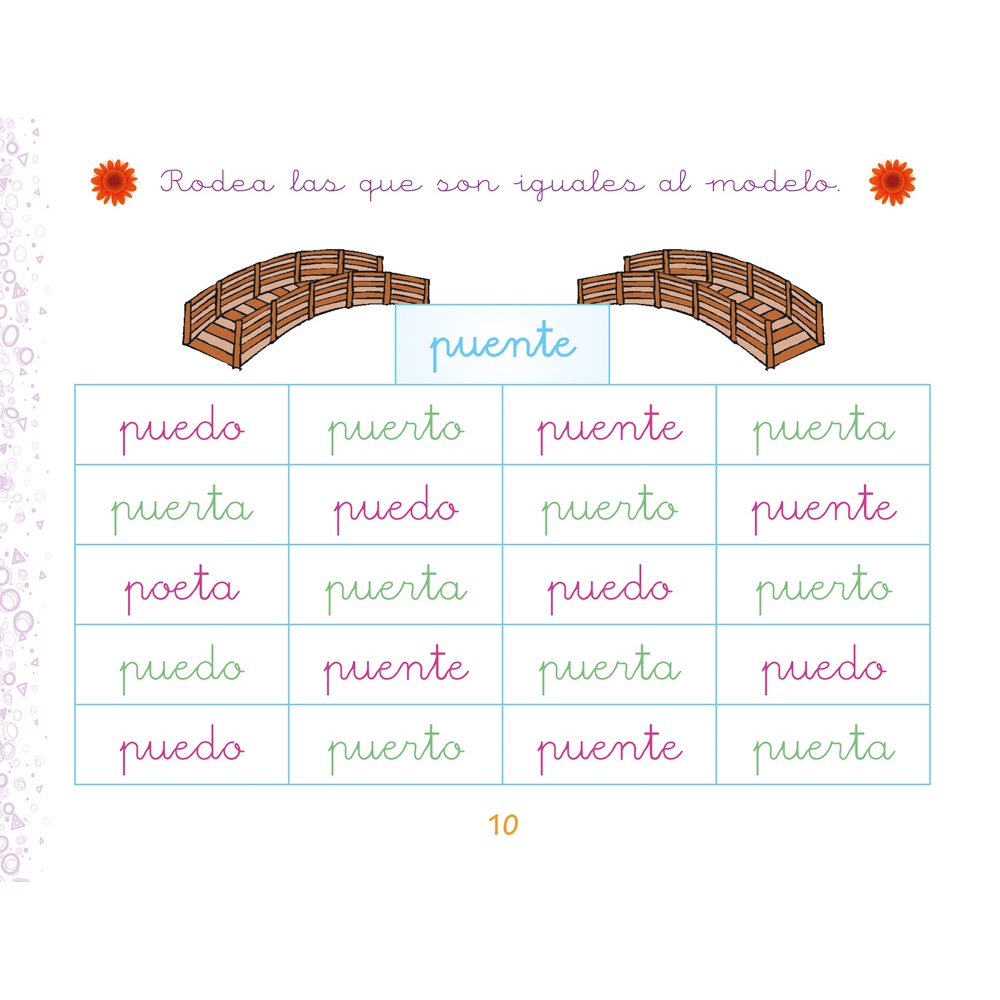 Pack conceptos básicos 5